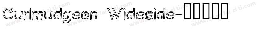 Curlmudgeon Wideside字体转换